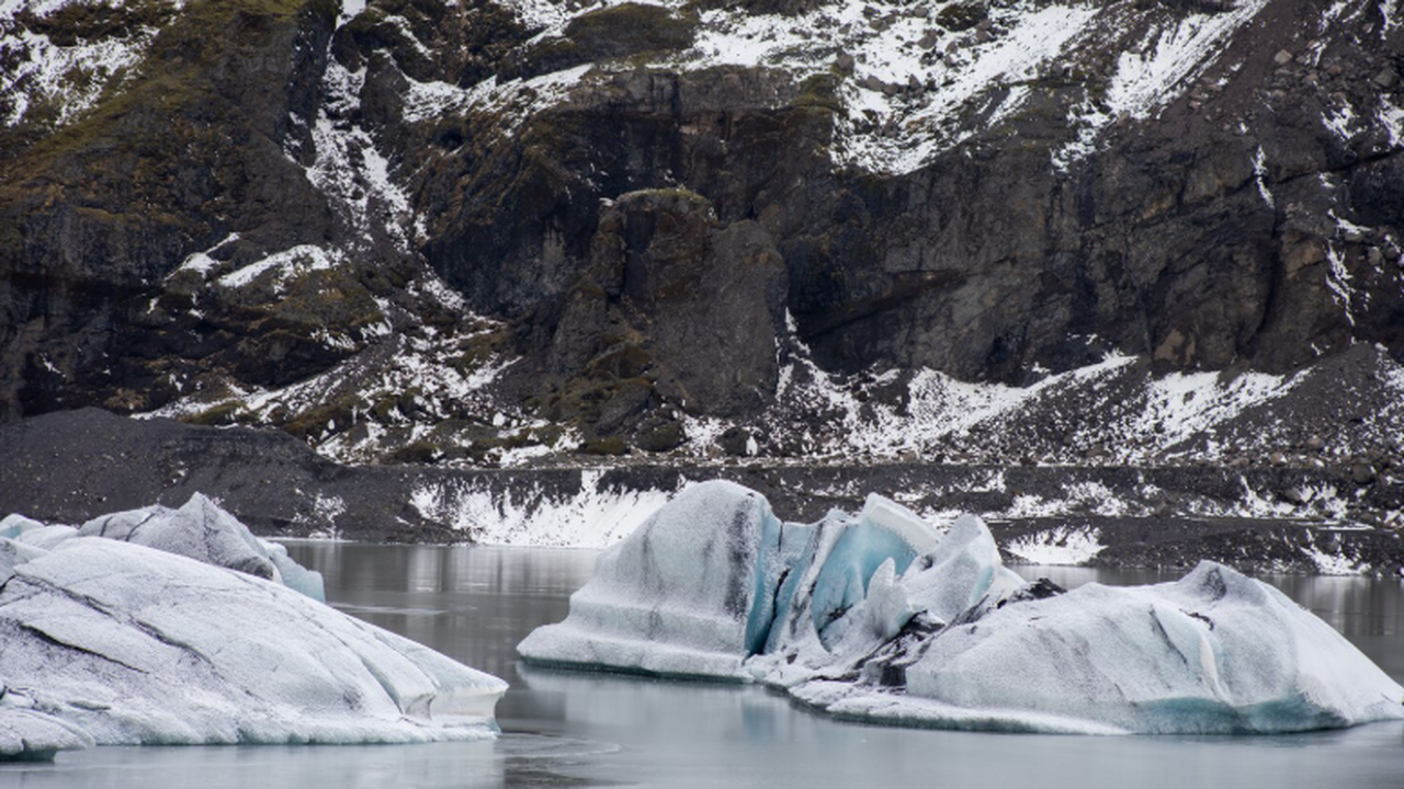 За последние десятилетия площадь арктического м...