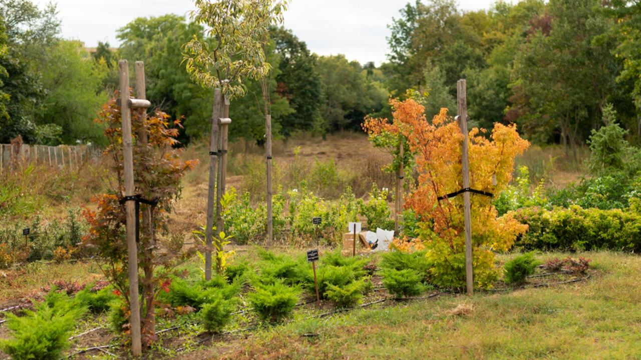 Компостирование зимой: как получить ценное удоб...