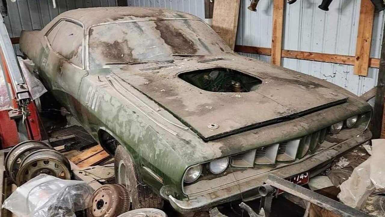 В одном из сельских районов США, на частной фер...