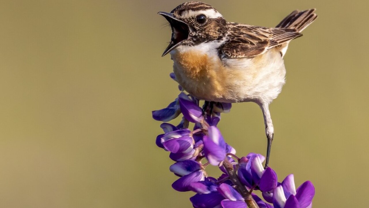 Учёные добились значительных успехов в исследов...