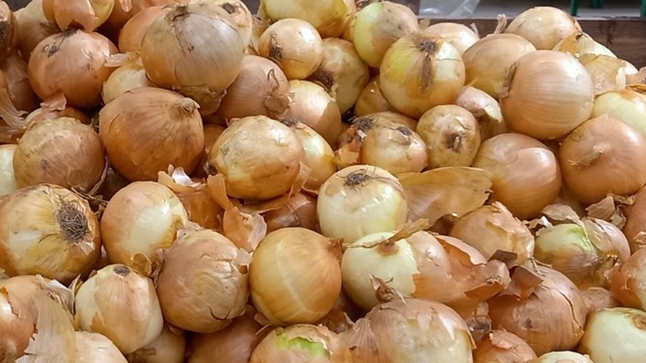 Кверцетин, природный полифенол, широко представ...