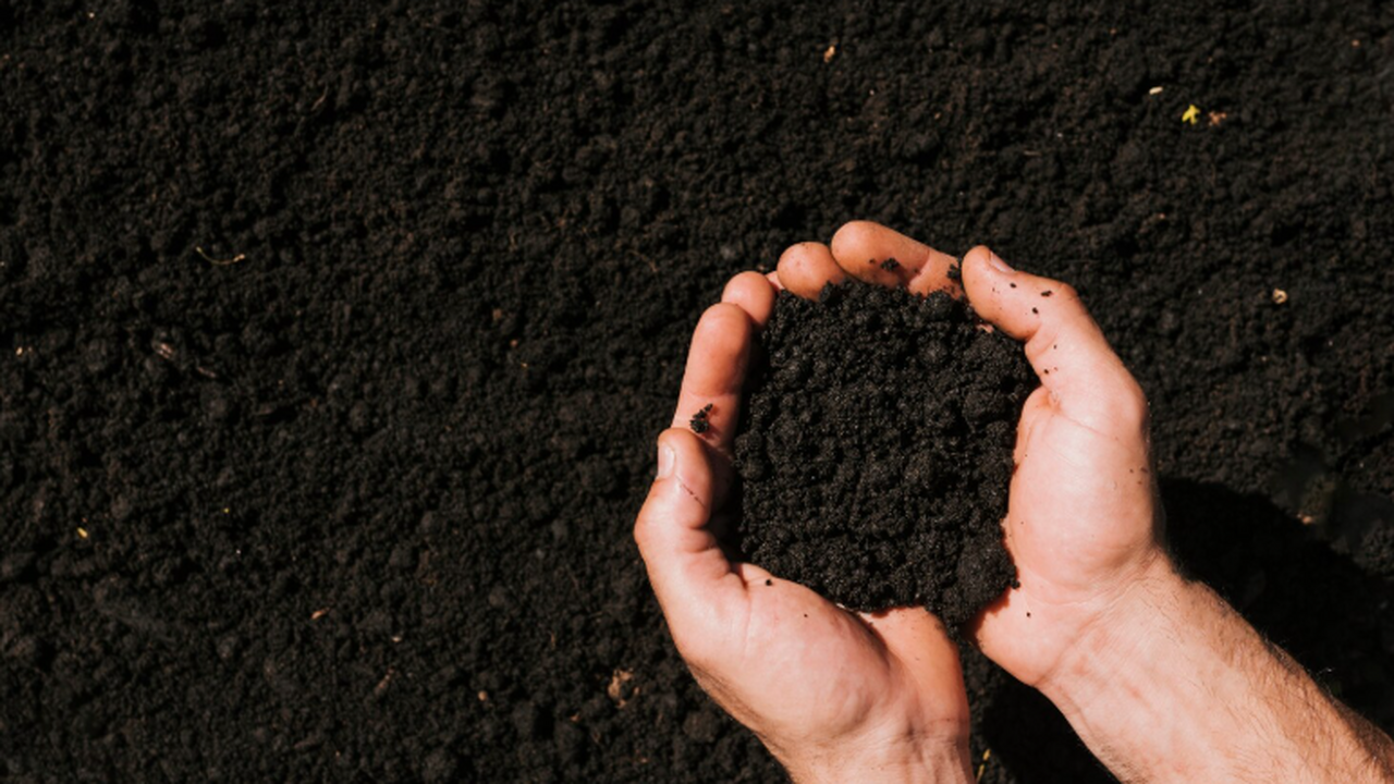 Исследователи Казанского национального исследов...