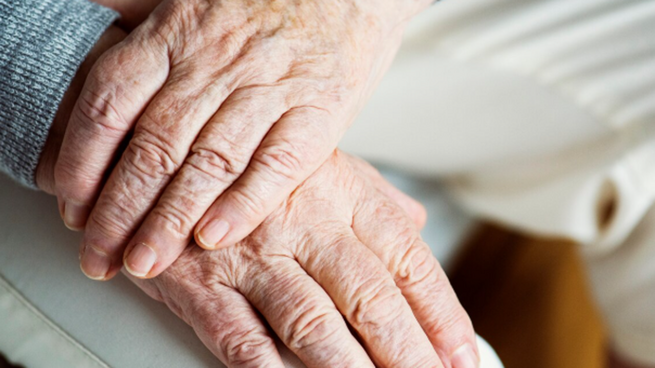 Учёные из Соединённых Штатов, работающие под эг...