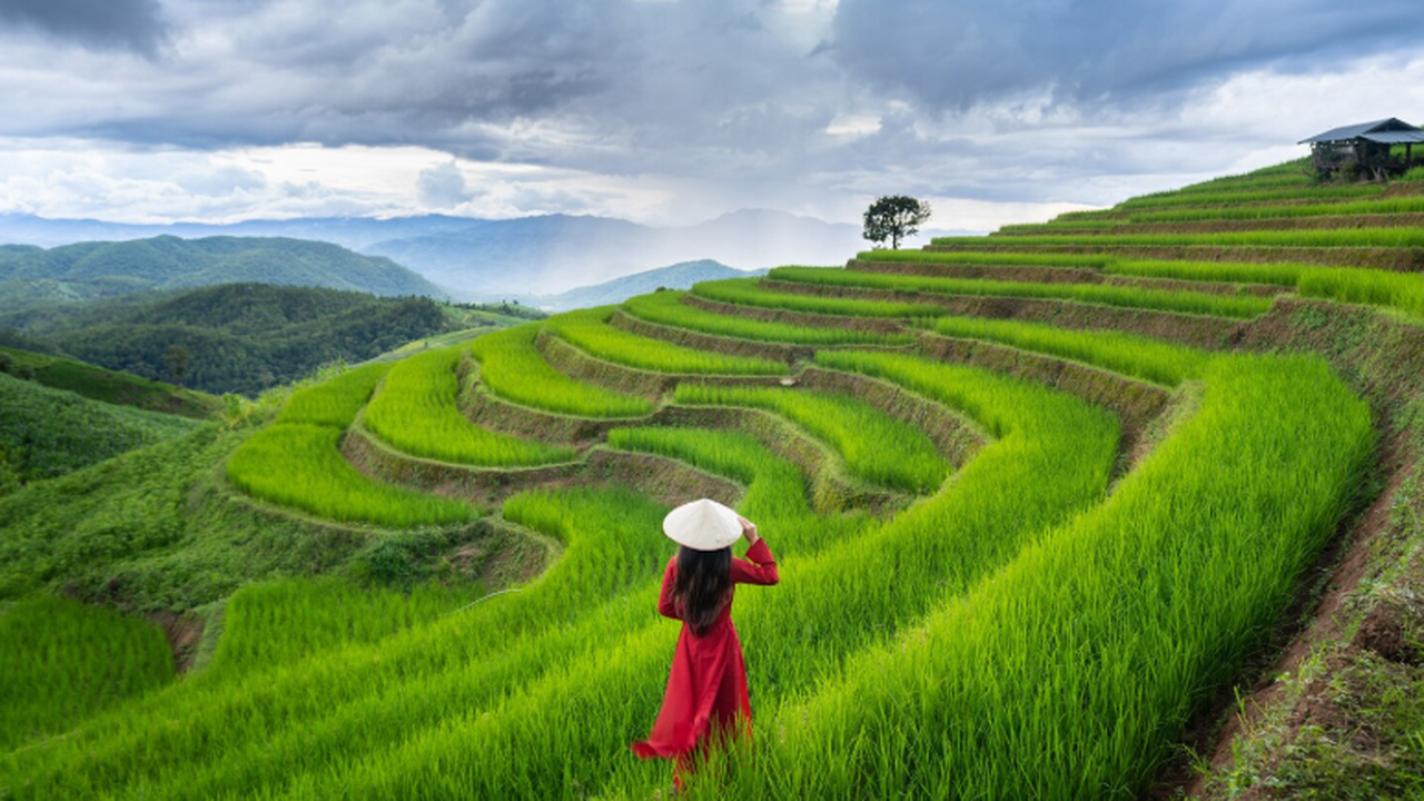 С 15 апреля 2026 года все иностранные туристы, ...