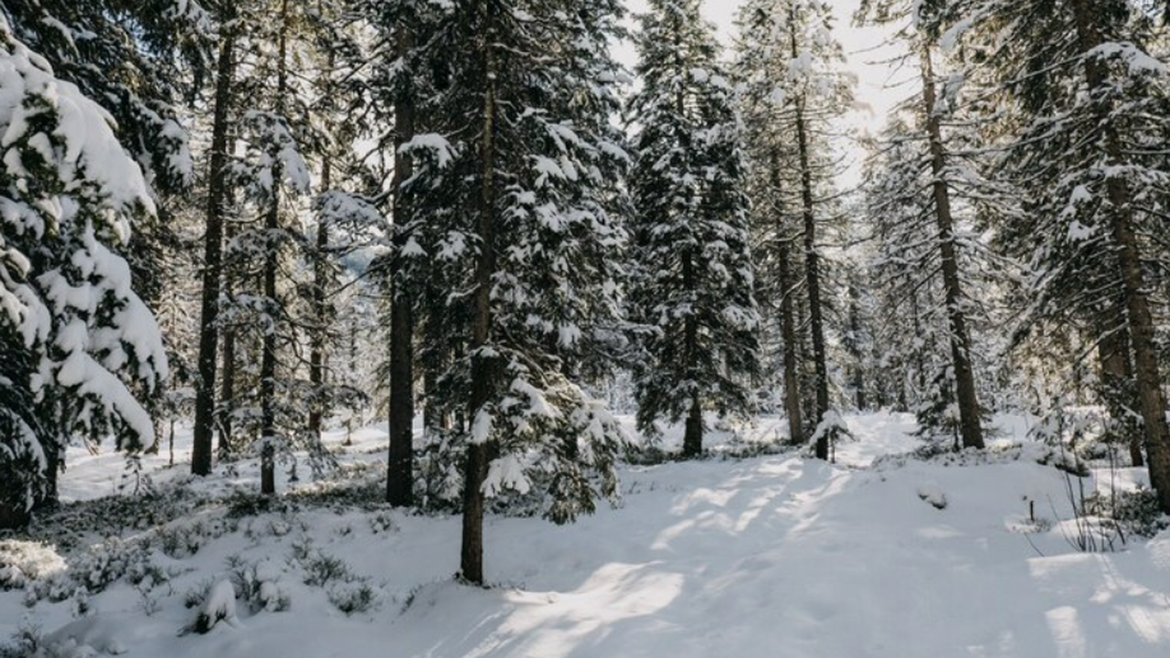 В Самарской области с декабря проводится операт...