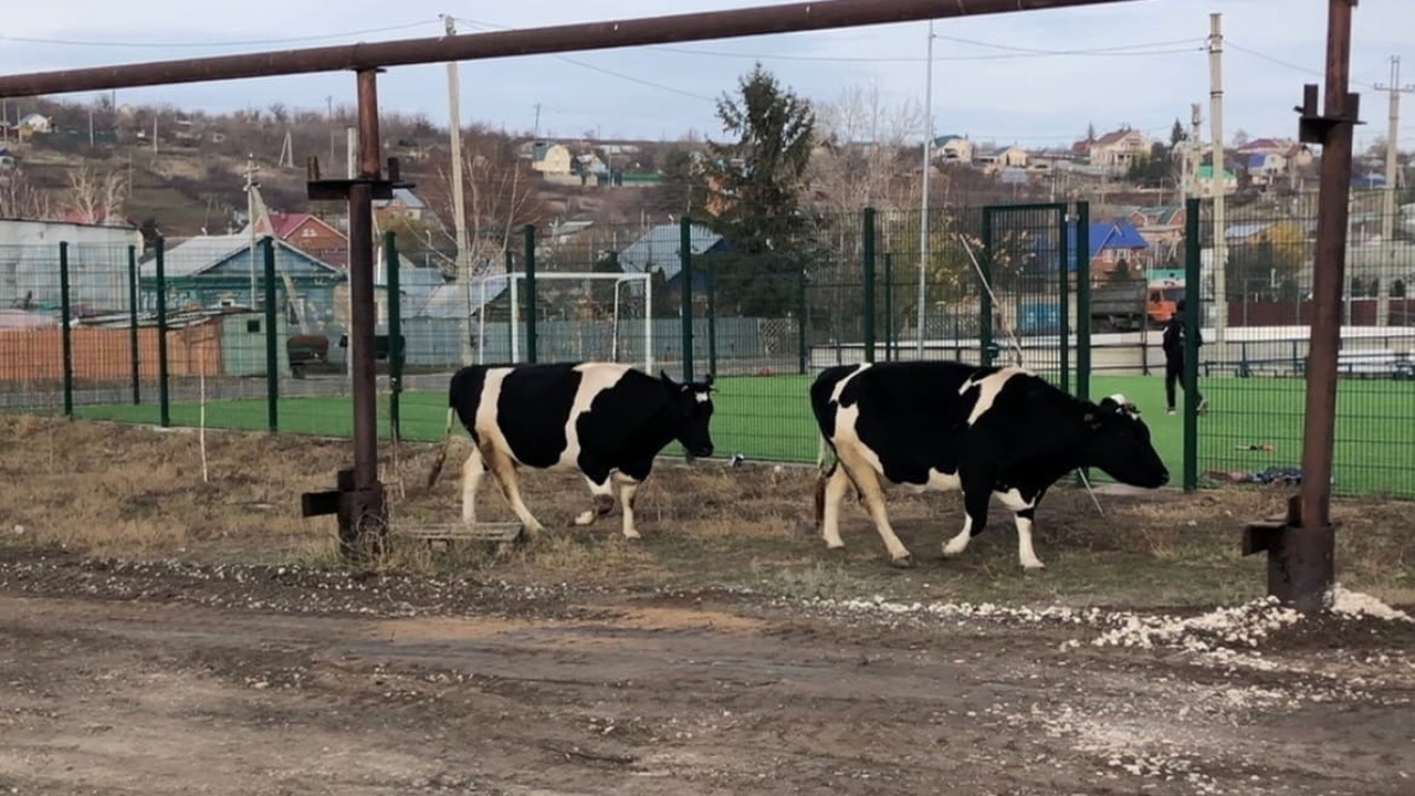 Один из жителей самарского региона смог добитьс...