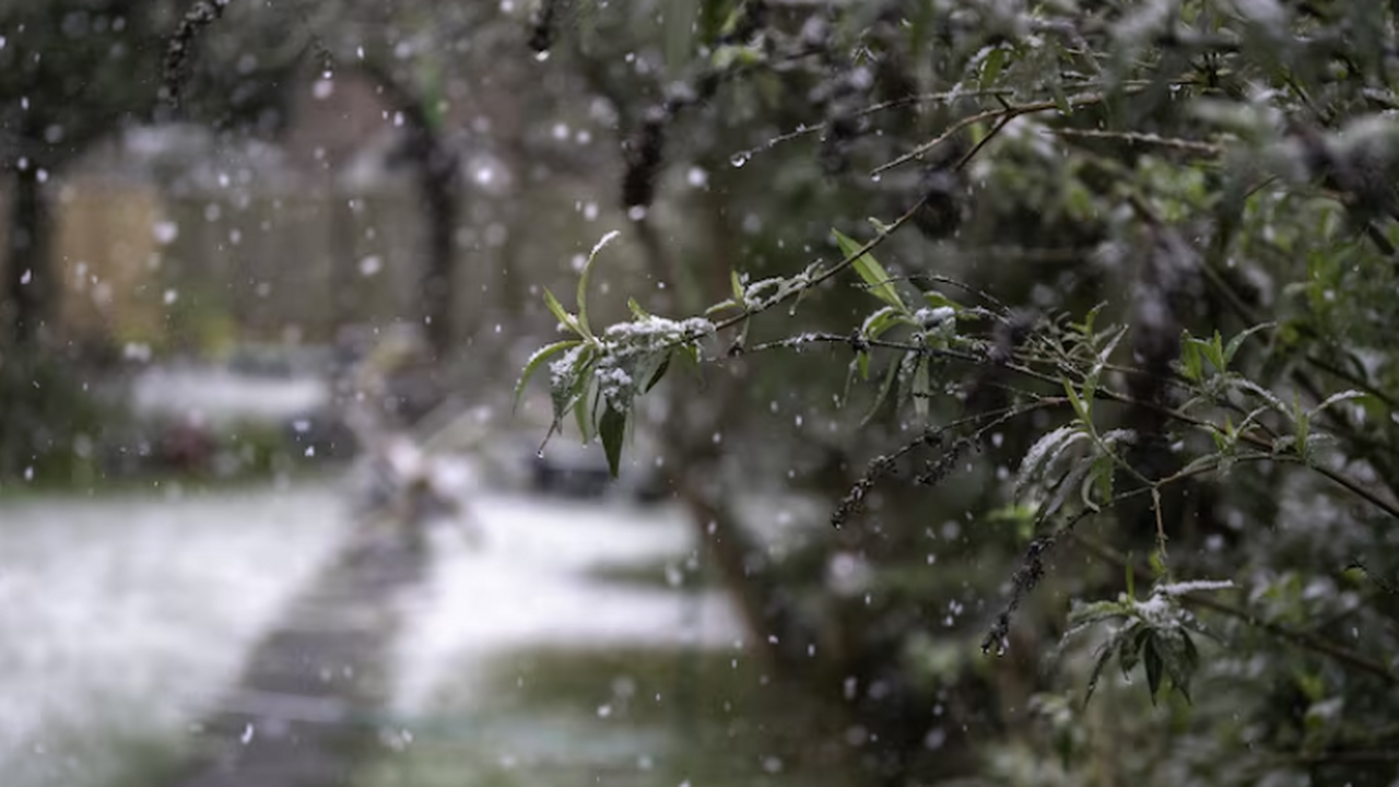 В Москве ожидается мокрый снег и заморозки: про...