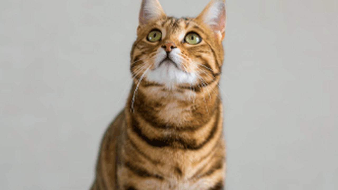 Управление федеральной почтовой связи Самарской...