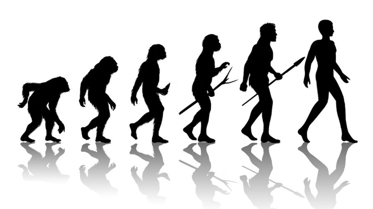 Археологические находки в Эфиопии вызвали перео...