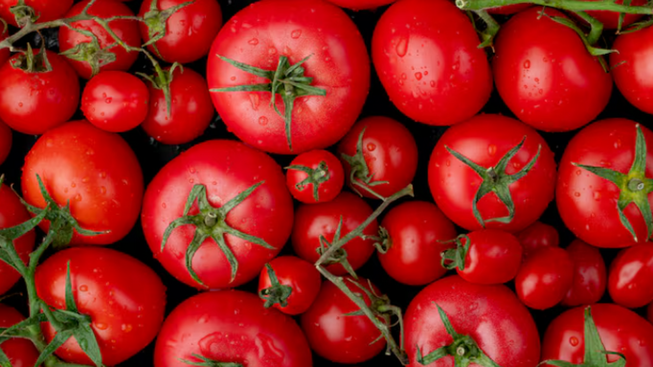 Специалисты Всероссийского научно-исследователь...