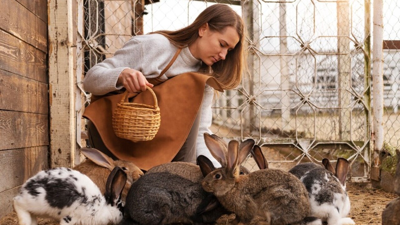 В Государственную Думу Российской Федерации вне...