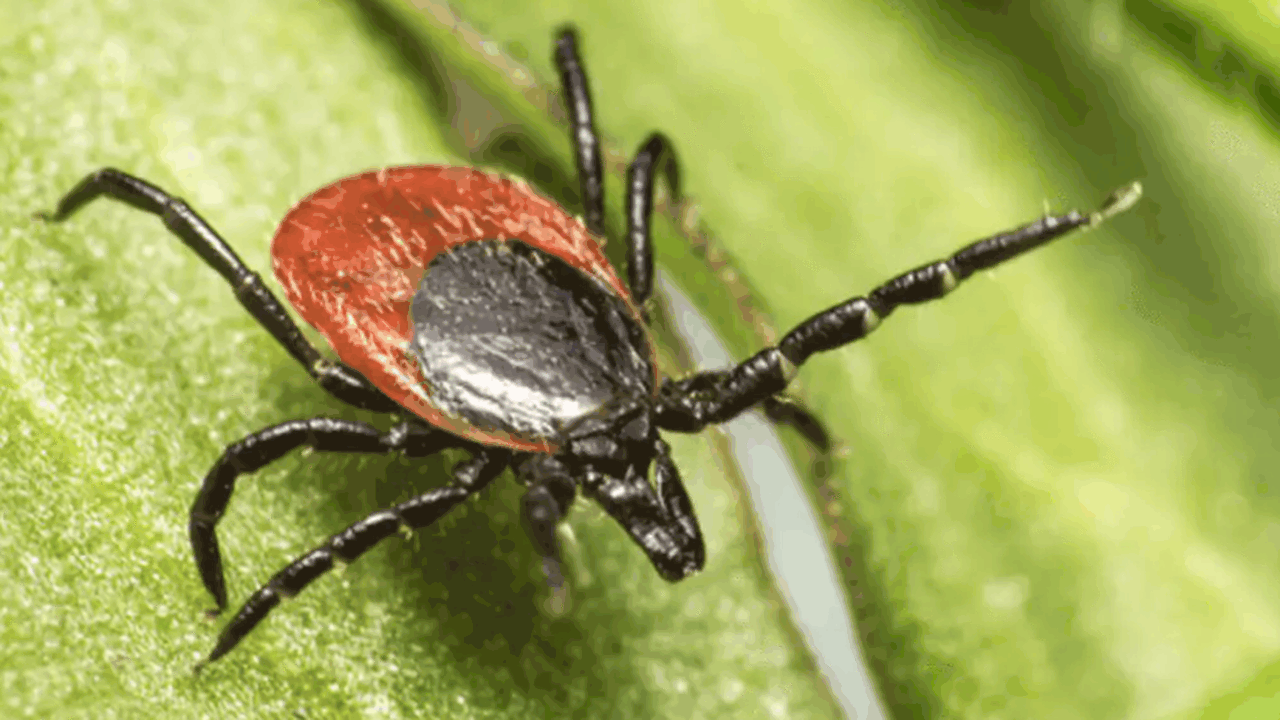 Администрация городского округа Самара информир...