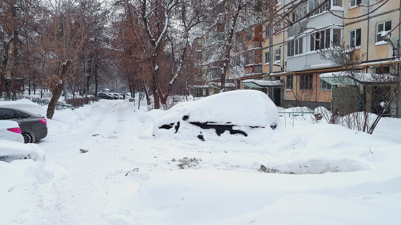 Первый зимний снегопад, который обрушился на ул...