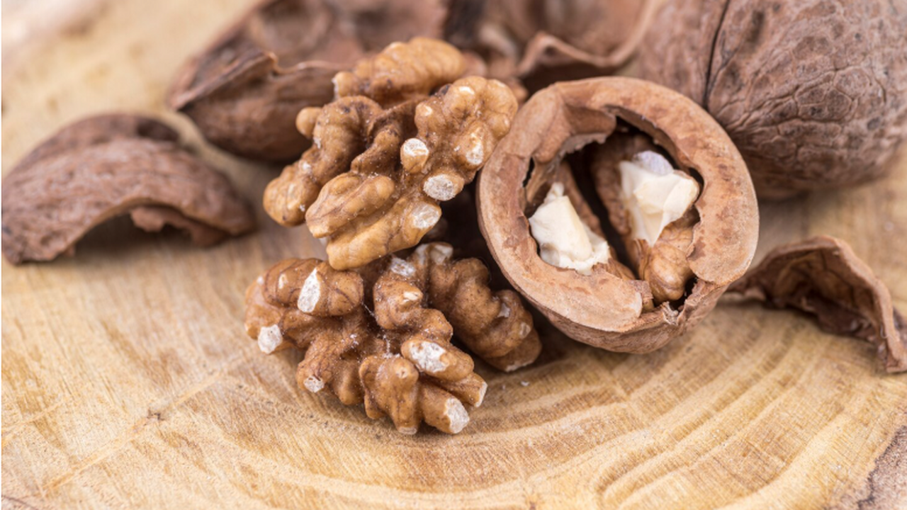 Немецкие ученые из Института биологии опухолей ...