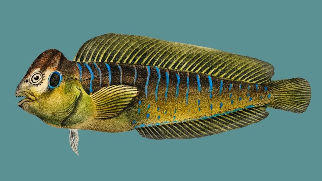 Исследование древней рыбы, возраст которой сост...