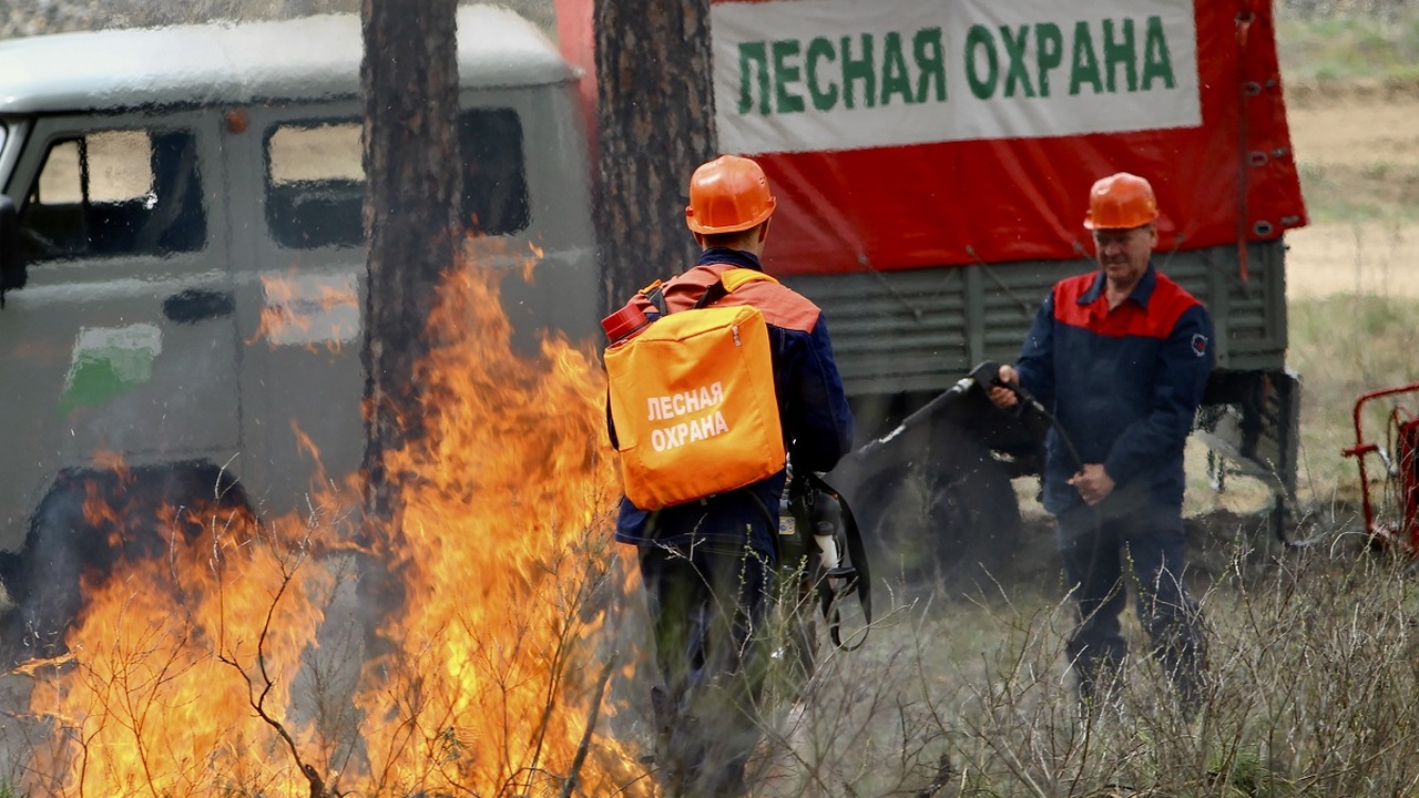 Всего с начала сезона в Самарской области зарег...