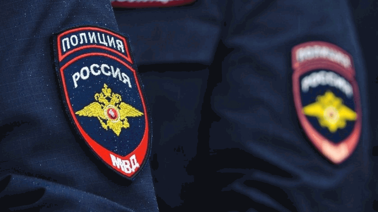 Полицейские управления Министерства внутренних ...