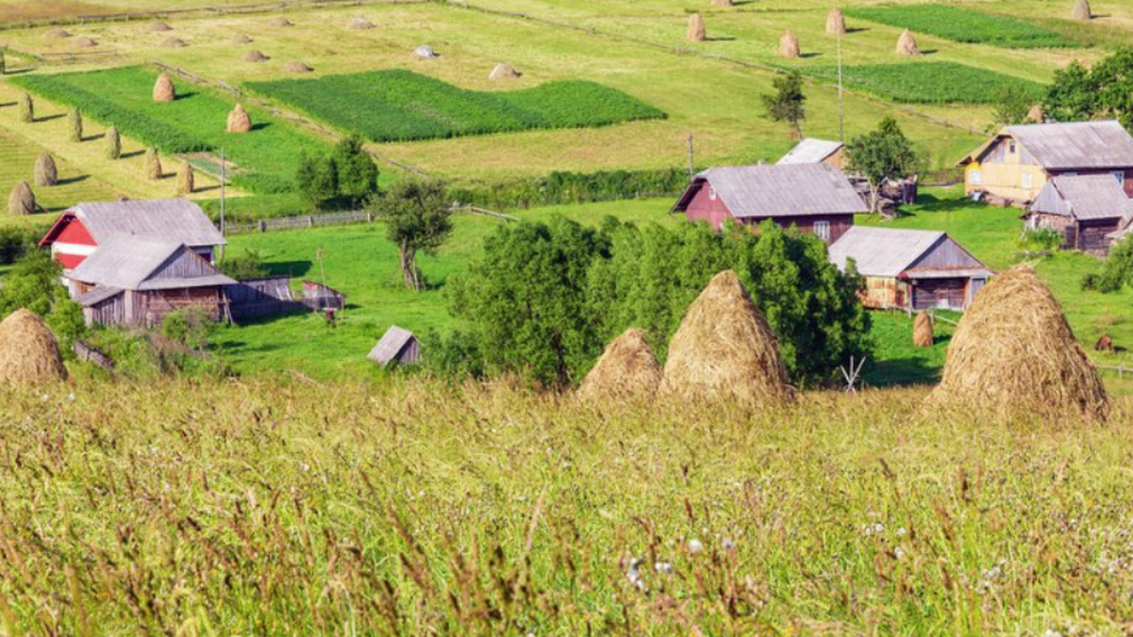 Деревня Бёхово в Тульской области, с населением...