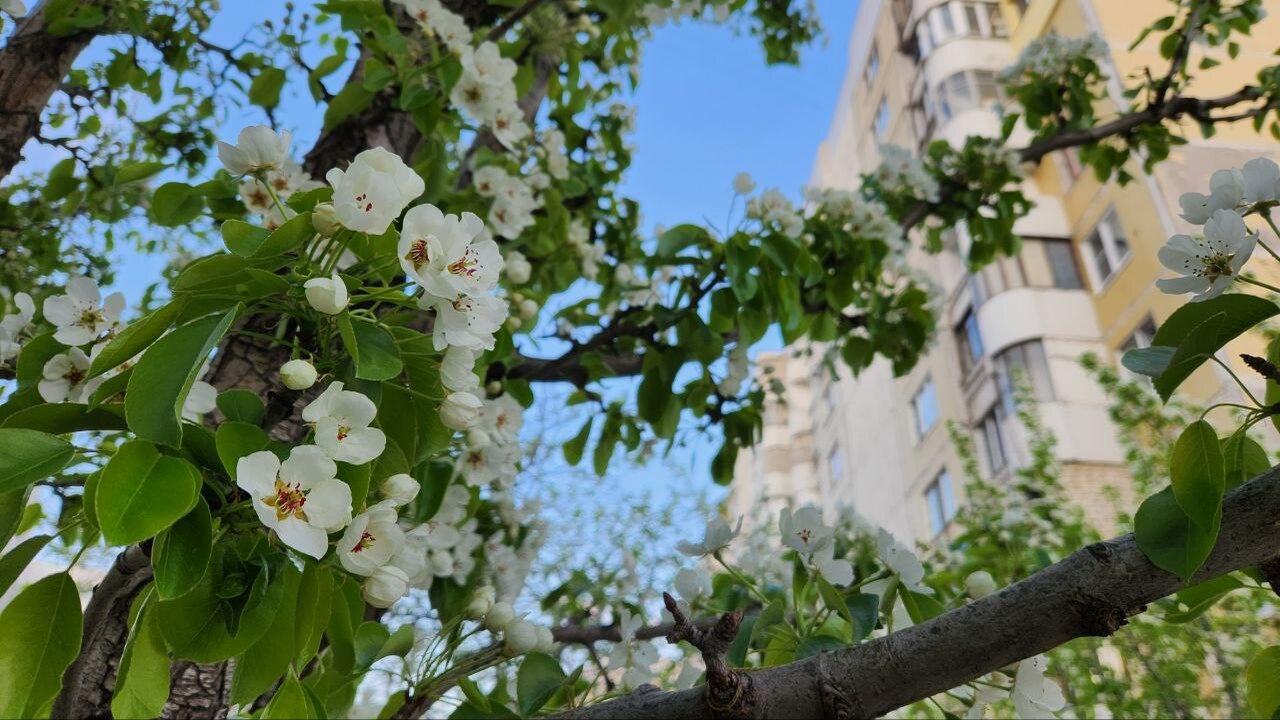 Стало известно, как отдыхаем в мае: россиян ждут 12 выходных и сокращенный график работы — точные даты Май 2026 года подарит россиянам почти две недел...