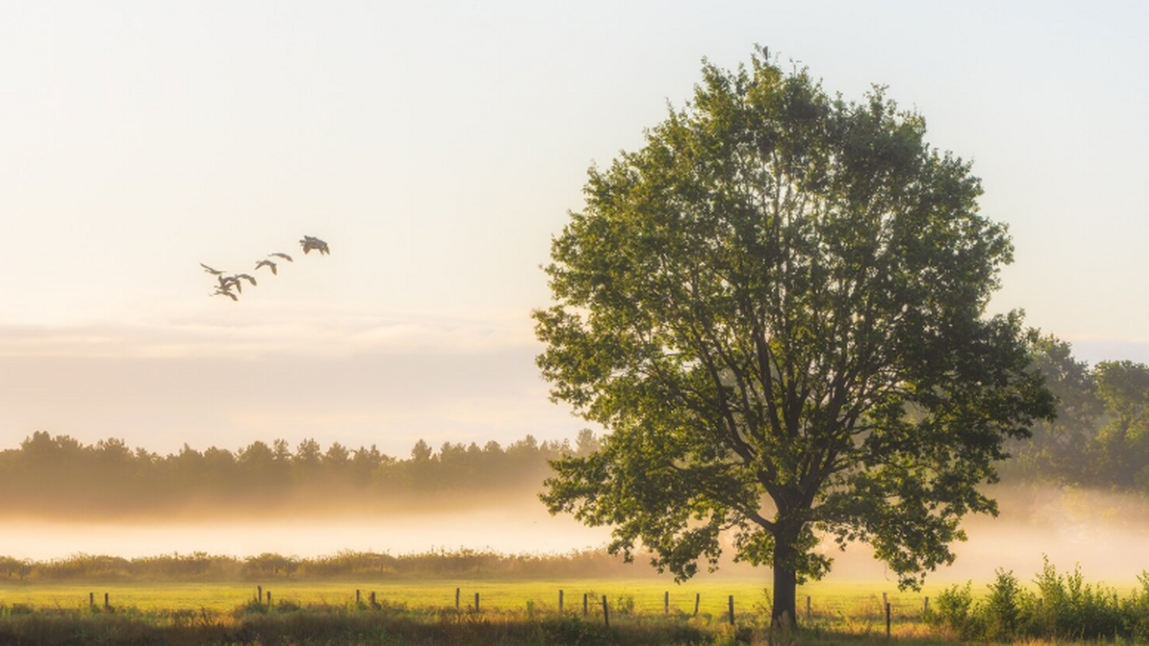 Учёные из журнала Environmental Epidemiology вы...