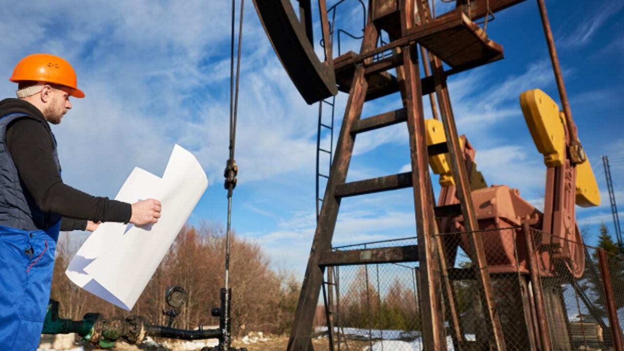 Специалисты Института нефтегазовой геологии и г...