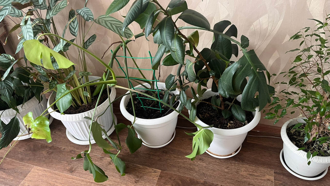 В рамках междисциплинарного исследования, прове...