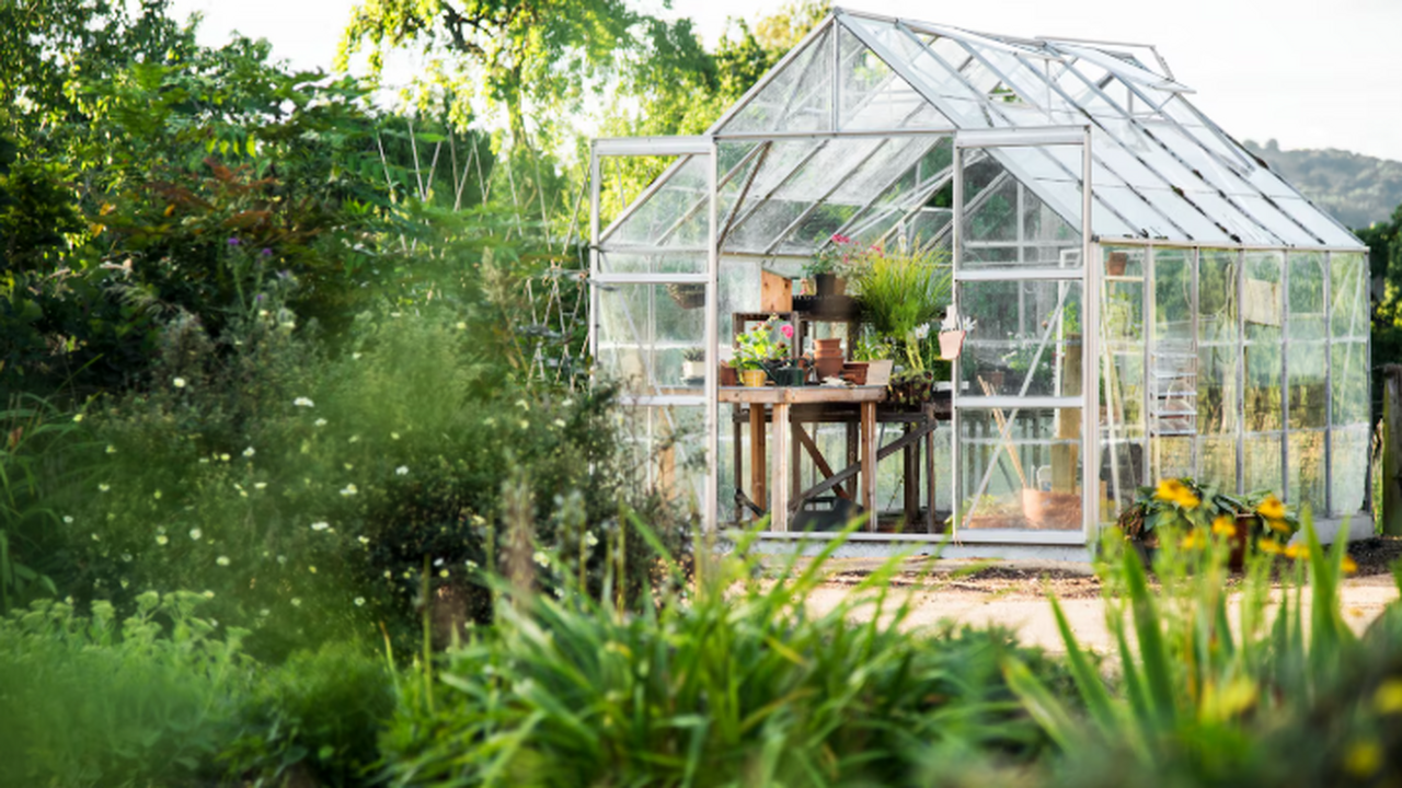 Анализ рынка товаров для садоводства, строитель...