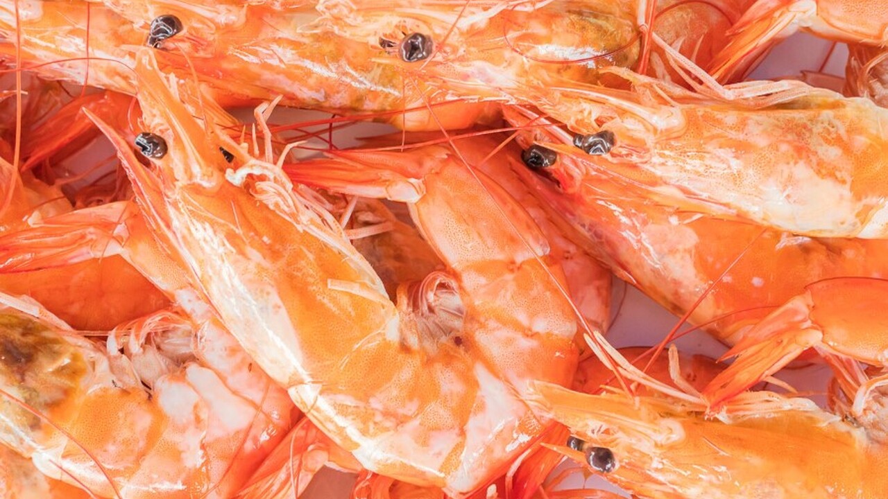 Российские и мексиканские учёные из Томского по...