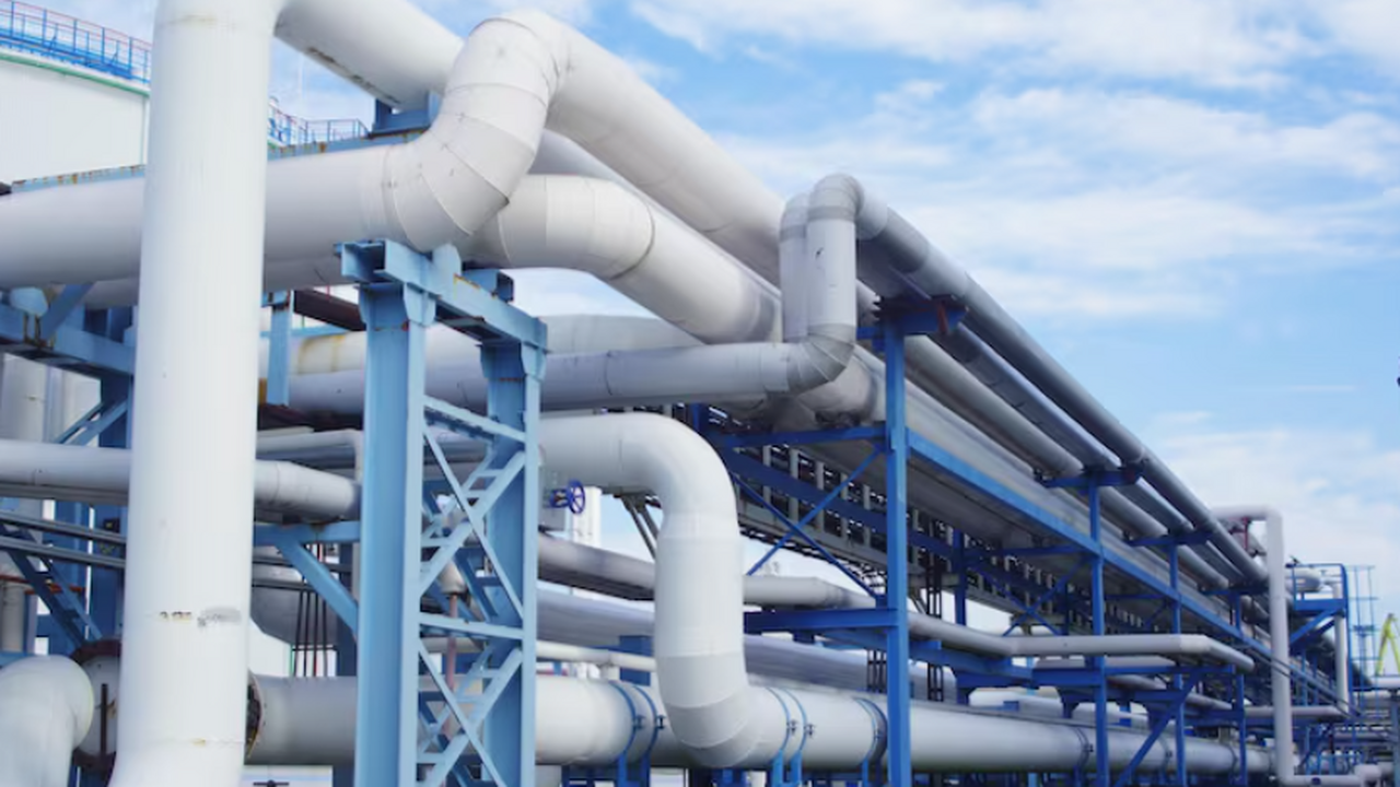 На встрече, состоявшейся 18 ноября, губернатор ...