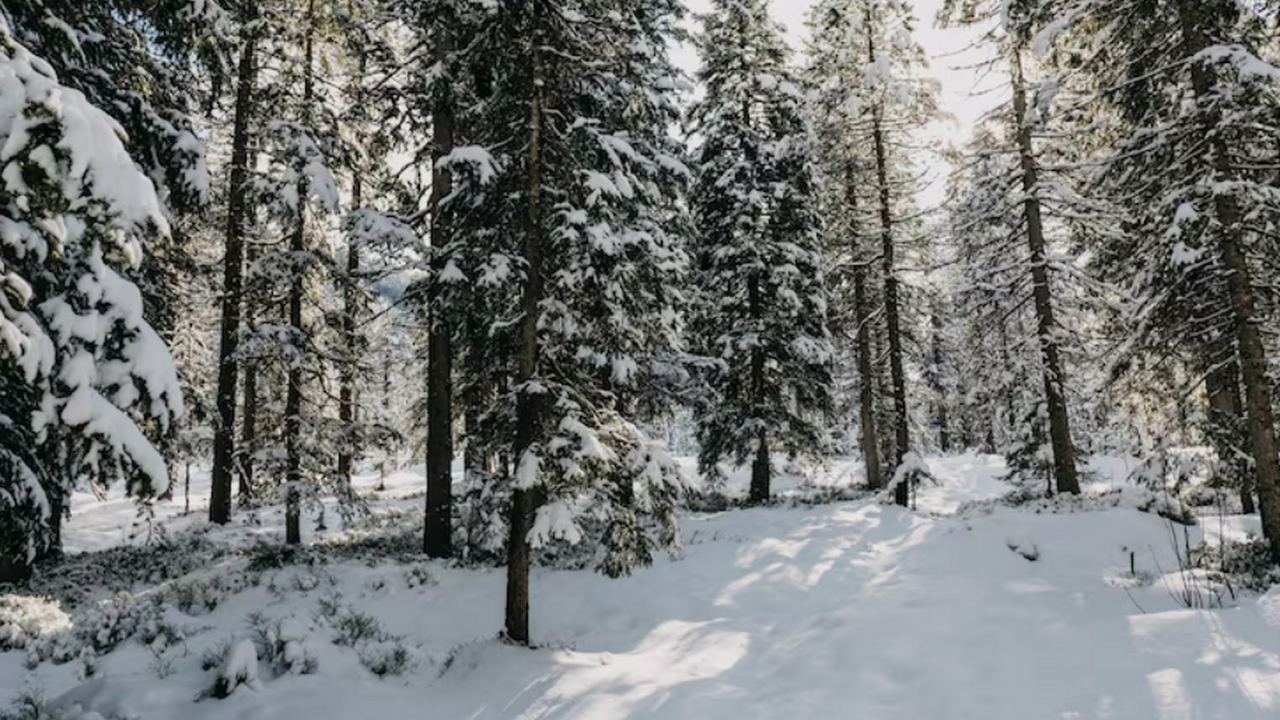 Арбитражный суд Поволжского округа вынес постан...