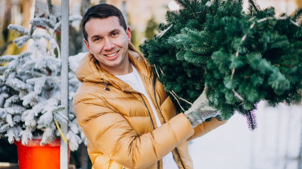 Пункты приёма новогодних ёлок открылись в Самаре с 6 по 15 января С 6 января 2026 года в Самаре инициирована акци...