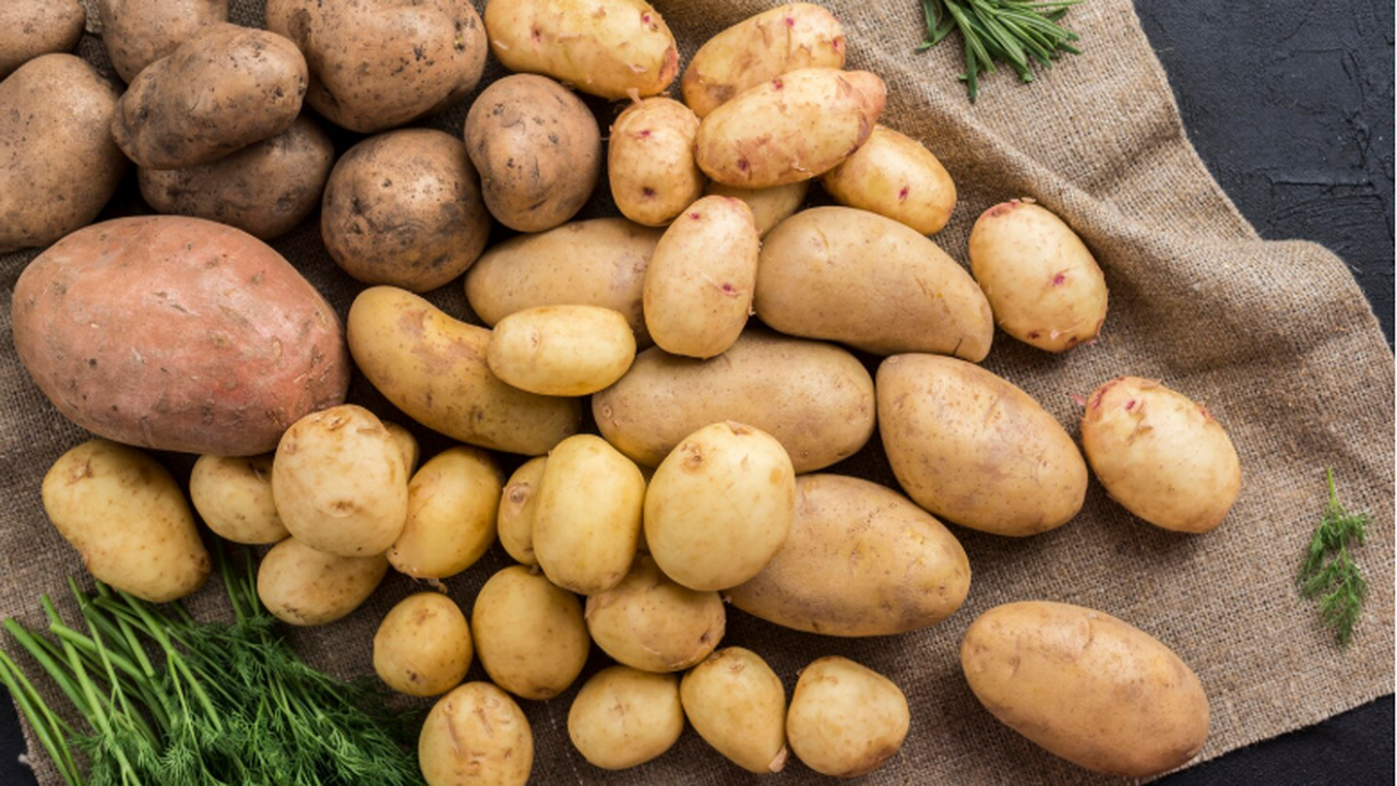 Исследователи из МГУ имени М. В. Ломоносова раз...