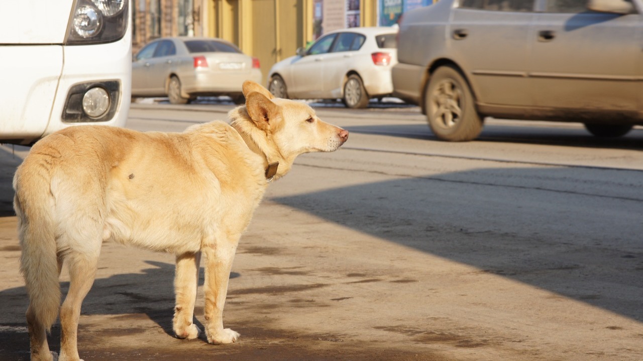 Ученые предложили новую методику определения во...