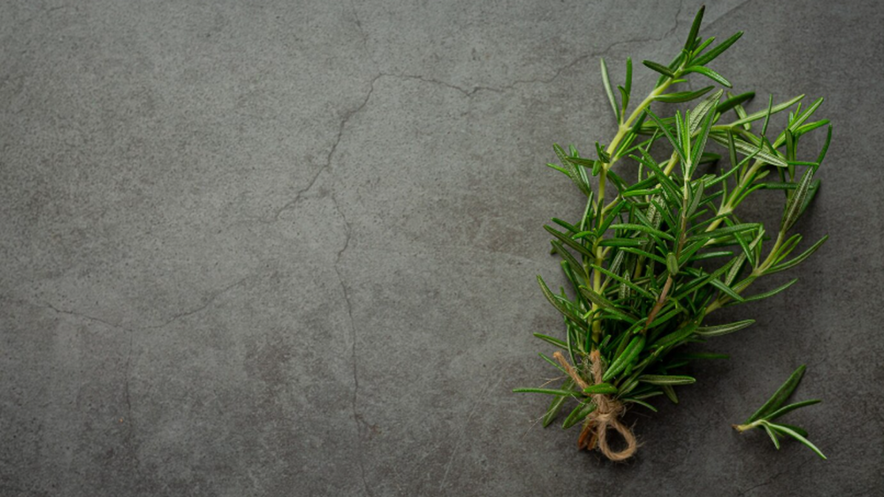 В рамках междисциплинарного исследования, прове...