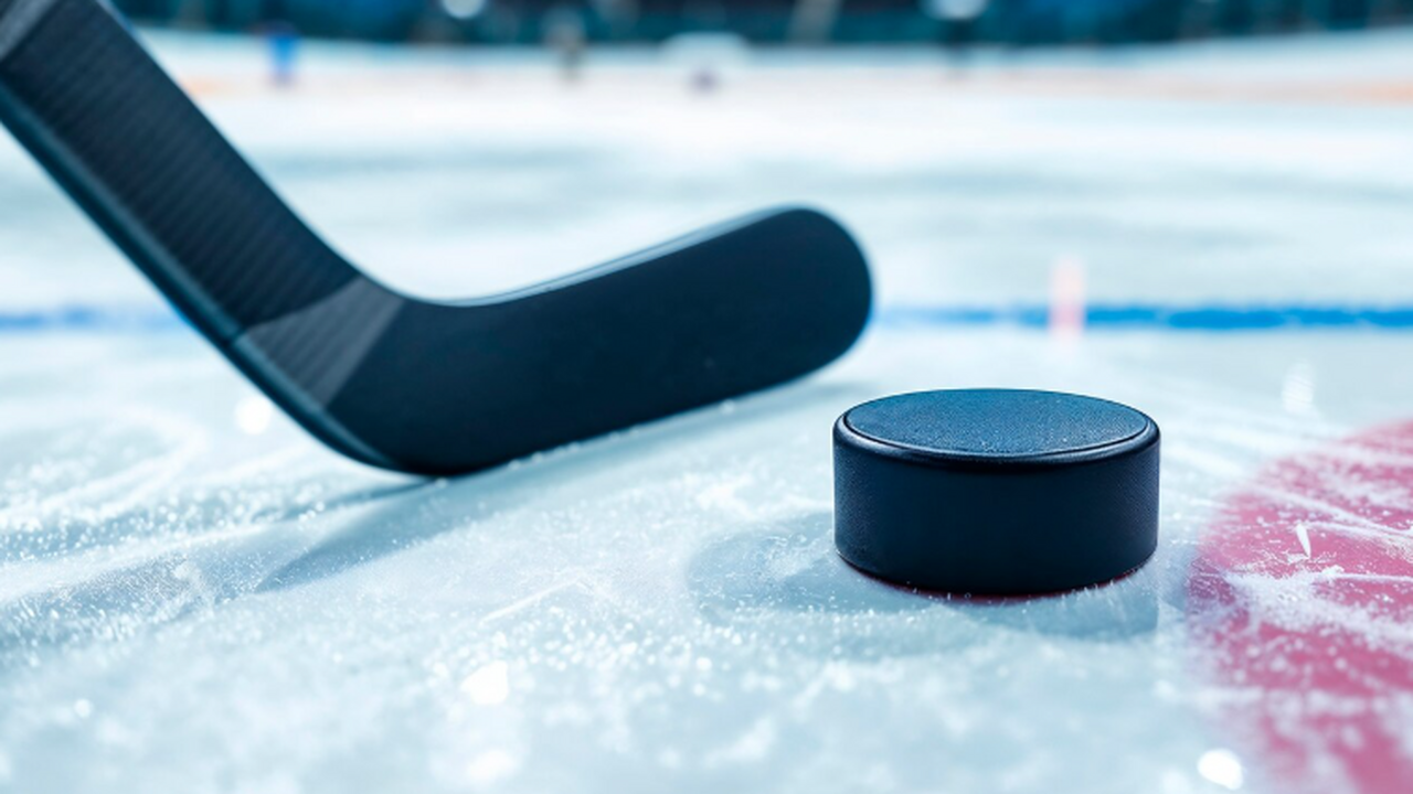 В Самаре 22 февраля пройдет хоккейный турнир в честь Дня Защитника Отечества 22 февраля Дворец спорта имени Владимира Высоцк...