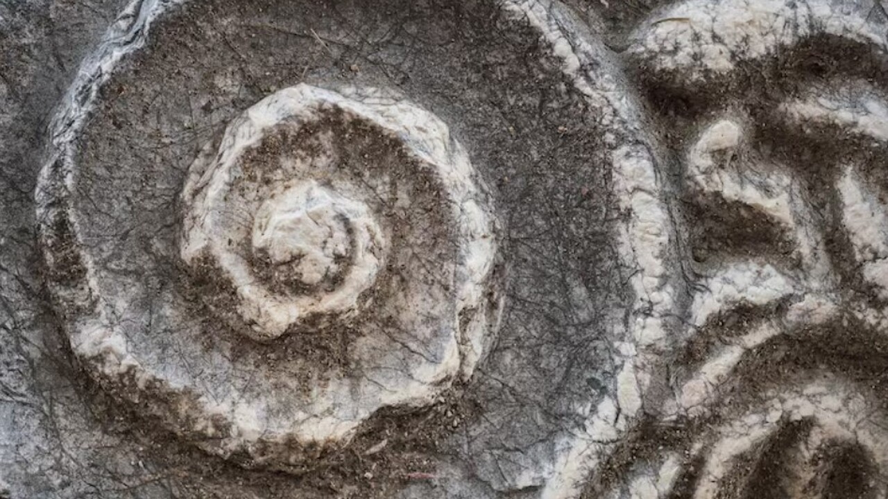 Шведская исследовательница из Уппсальского унив...