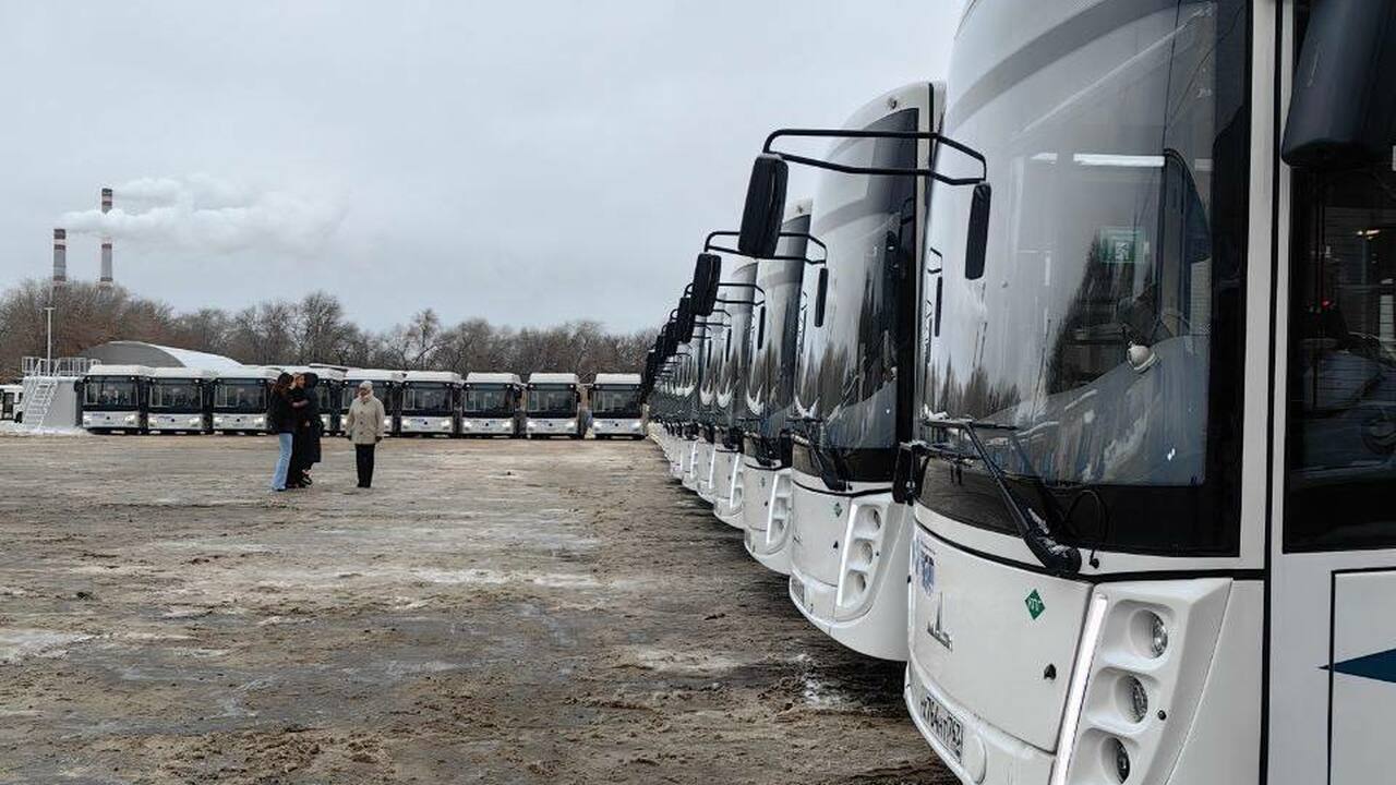 В Самару прямо перед Новым годом прибыло более ...