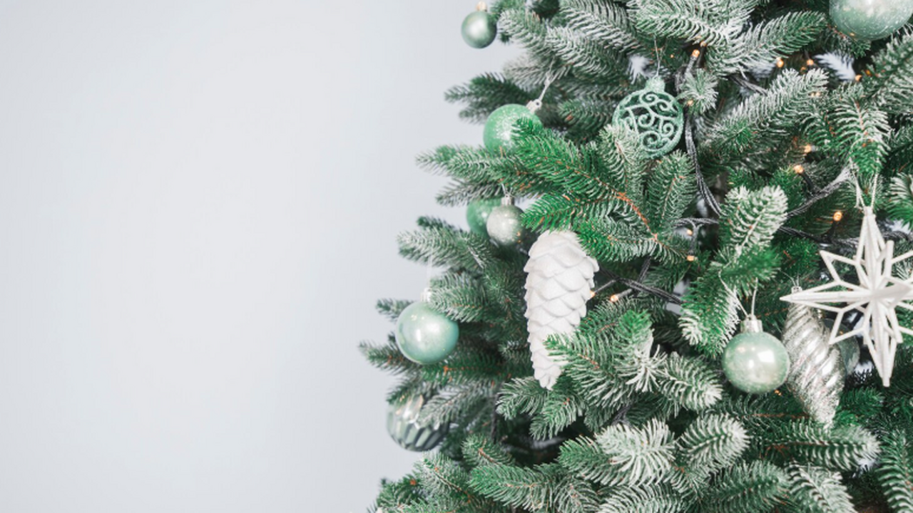 Семиметровые ели закупили для парков Самары к Новому году: где их поставят В Самаре началась подготовка городских парков к...