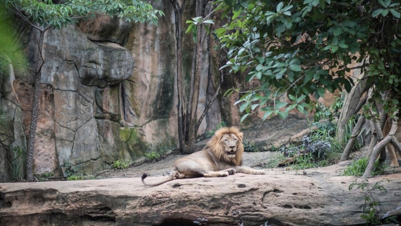 В Самарском зоопарке произошло пополнение: в уч...