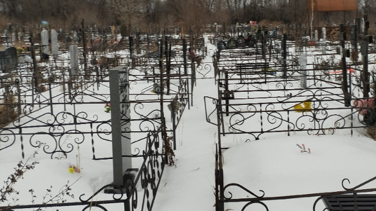 В Самарской области разрабатывается законодател...