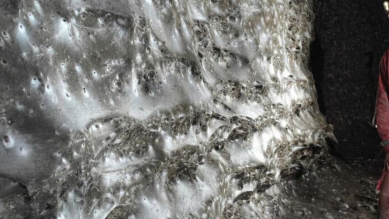 Международная группа исследователей, занимающая...