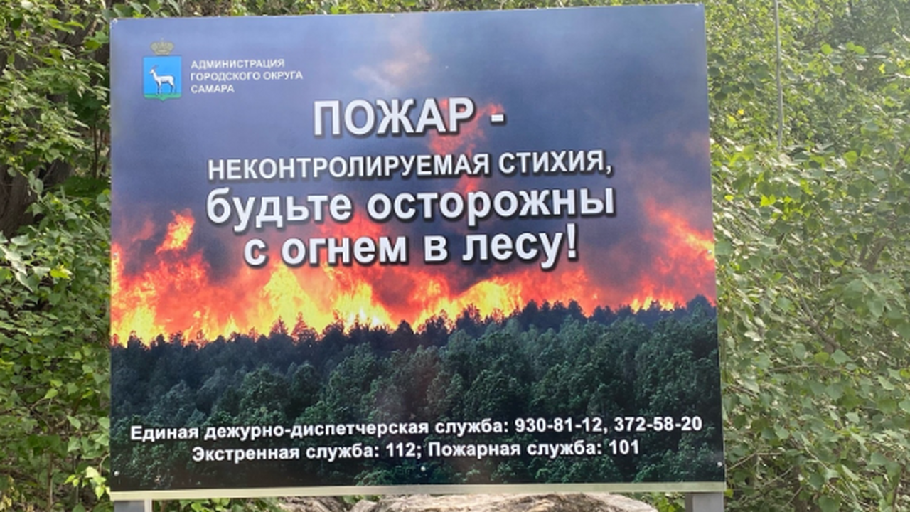 С 15 апреля в Самарской области вводится особый...