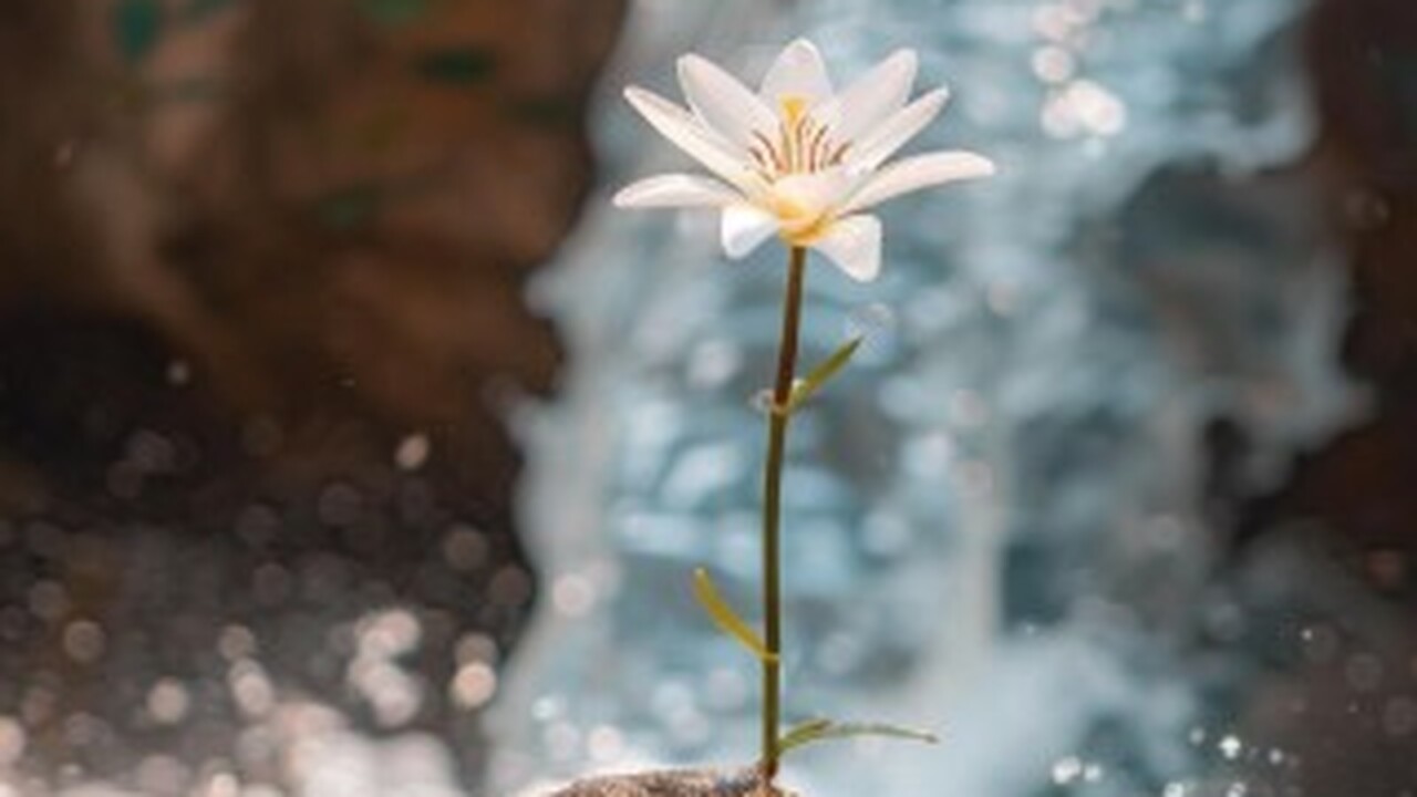 Nature: новое исследование ведет к пересмотру даты появления всех предков На протяжении длительного времени в научном соо...