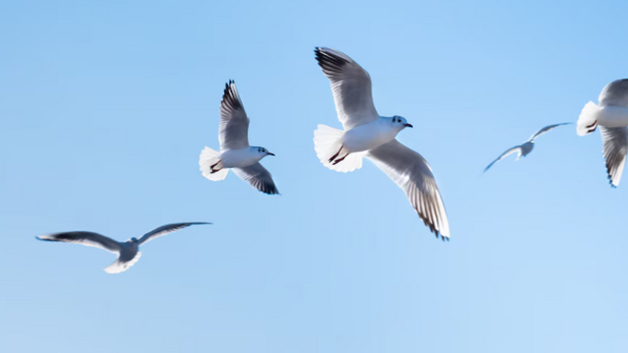 Канадские учёные, опубликовавшие результаты сво...