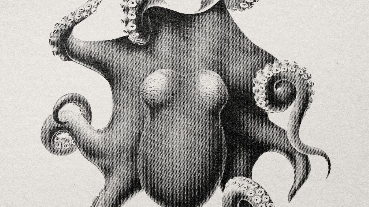 Гипотеза социального мозга, или гипотеза социал...