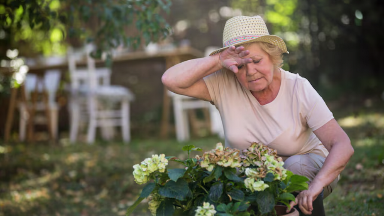 Садоводство с минимальными усилиями: как сидера...