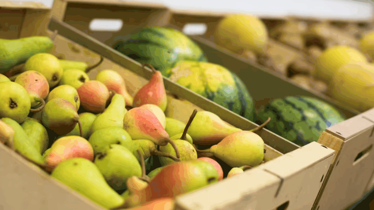 В самарском Курумоче изъяли 145 кг запрещённой продукции у пассажиров В период с 18 по 24 мая в международном аэропор...