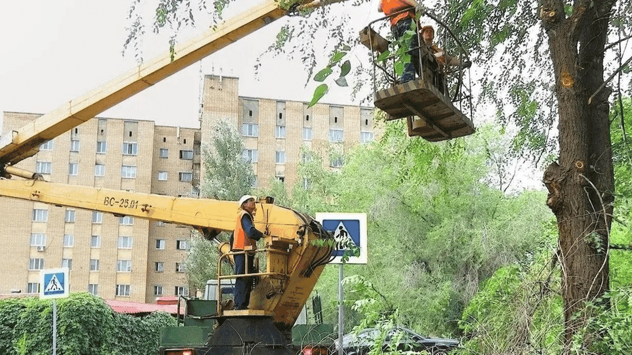 В Самаре коммунальные службы приступили к систе...