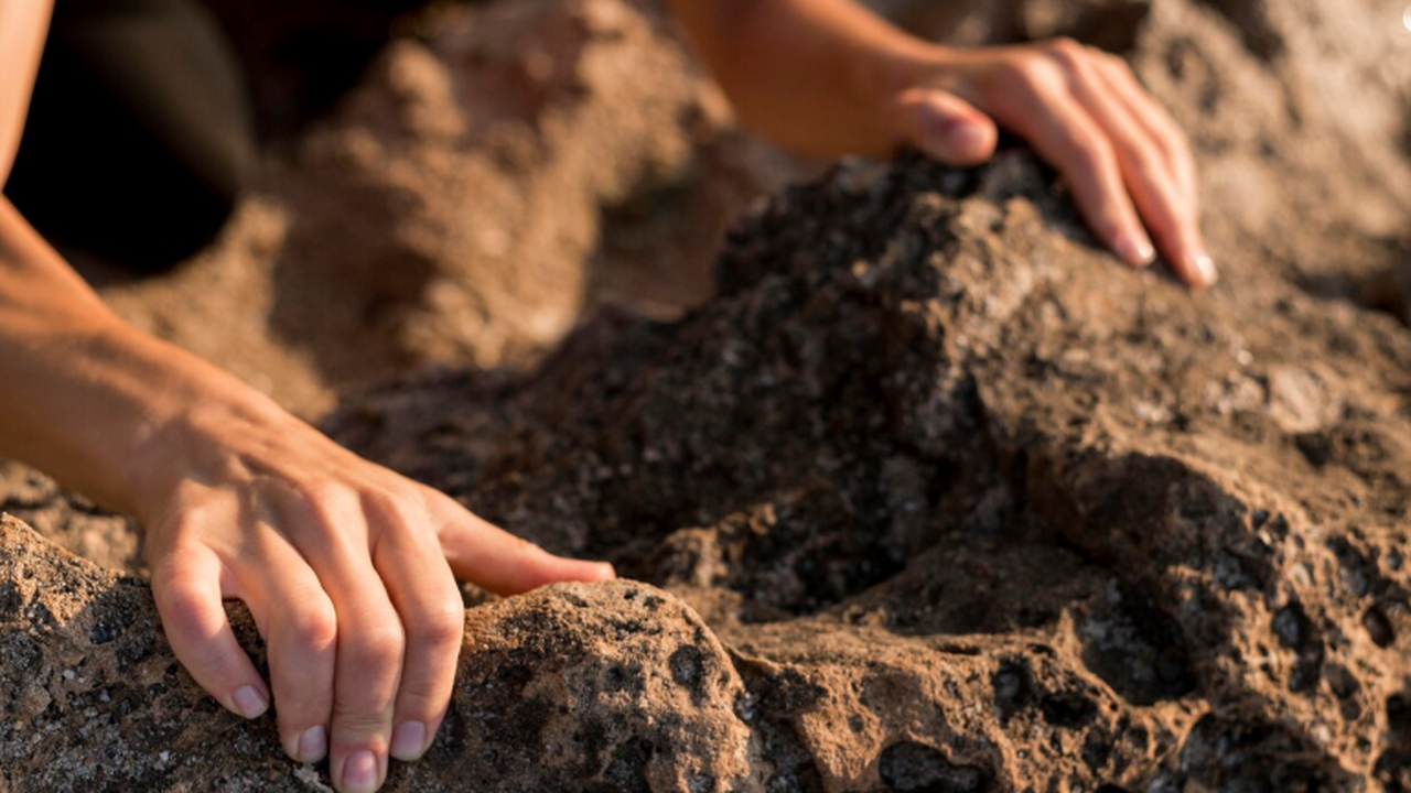 В Великом Новгороде на Троицком 17-м участке в ...