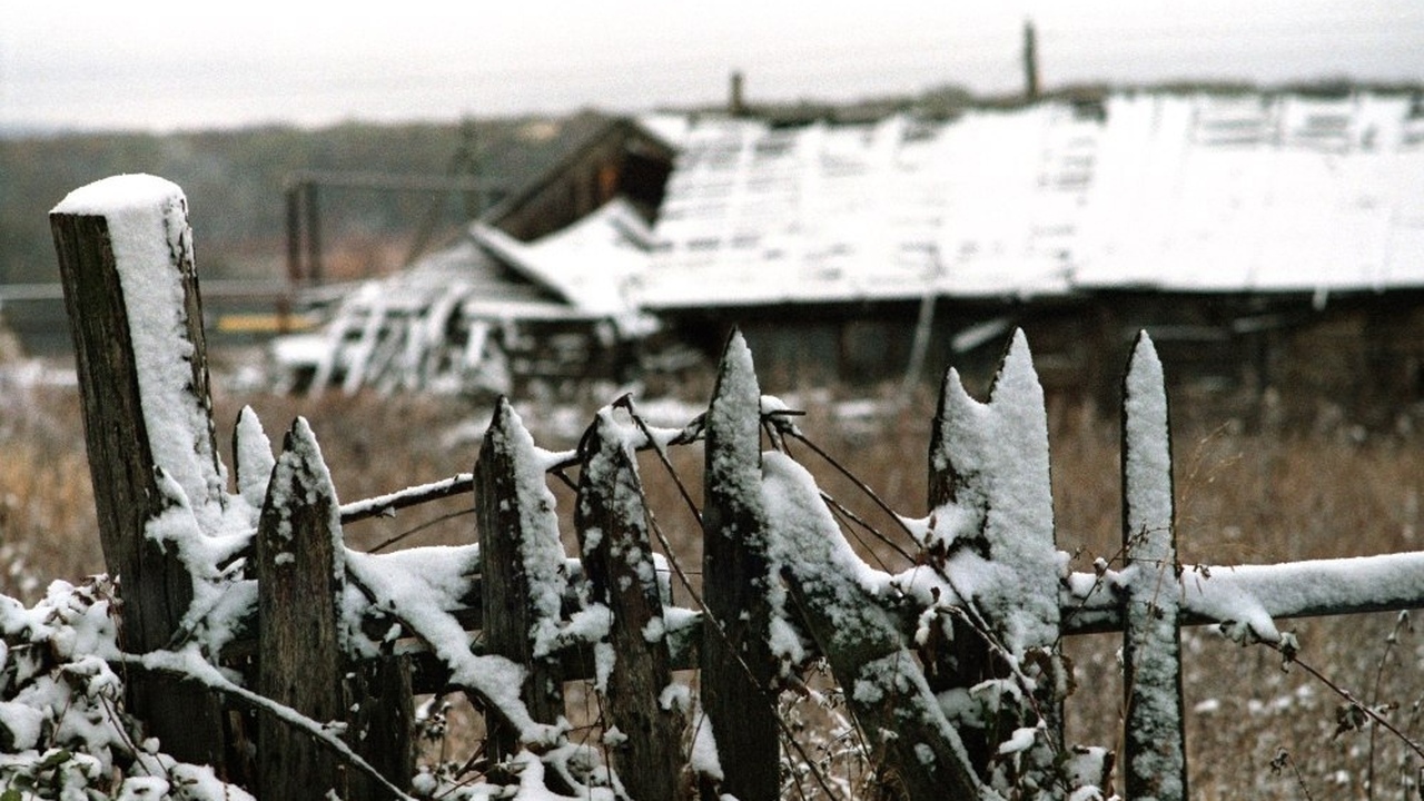 Дачный дом — это желанная находка не только для...